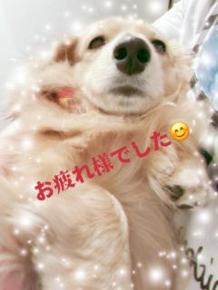 本日もお疲れ様でした??