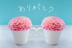 8/23 ビジネスさま☆お礼