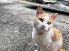 アルファ　みさき⭐︎⭐︎⭐︎