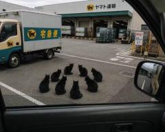 網タイ倶楽部(都城市) タイムサービス1日2回