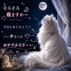 そろそろ寝ますか〜??