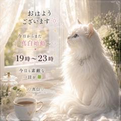 おはようございます??