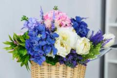 JaPON　新人！菜沙ﾅｽﾞﾅ
