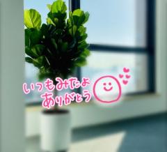 JaPON(デリヘル) 真子ﾏｺ