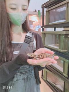 clubNOA　