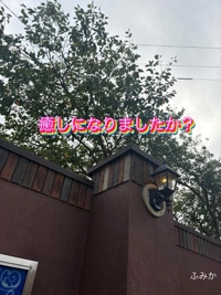 宮崎ちゃんこ都城店(都城市) ふみか