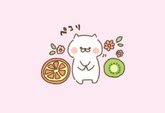 ─=≡Σ((( つ?ω?)つ