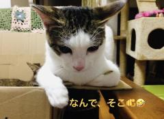 昭和（沖縄・完全個室プライベートエステ）(メンズエステ) 与那嶺綾子