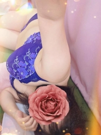 近日の予定