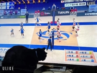 頑張れ