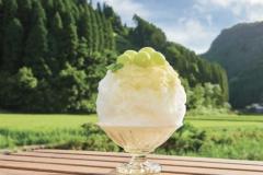 おはようございます〜🌄
