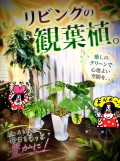 少しだけ…自宅の…