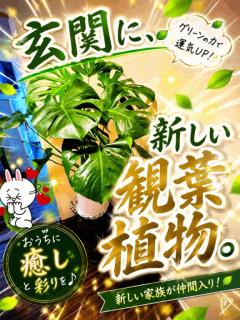 少しだけ…自宅の…