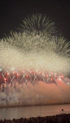 今年も見れました！