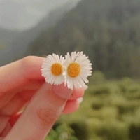 自己紹介
