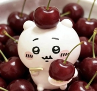 MIYAZAKI SANSAIN　ひまり