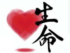 悔いなく生きる❤︎↝