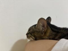 紙タバコ?