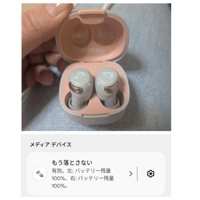 トイレだけには…