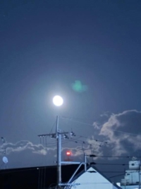 いてるよん