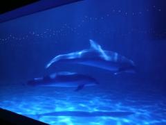 鹿児島天文館デリヘルLOVEVE～ラヴィーヴ～　りと☆聖水黄金AF対応Lカップ☆