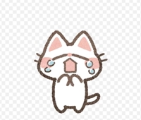 11時から