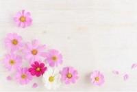待ちナビ きょうこ ありがとうございます