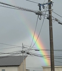 リピさん