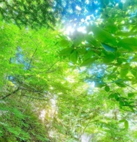 待ちナビ　しずく