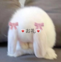 宮崎ちゃんこ中央通店　せな