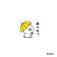 宮崎到着しました