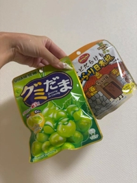 MIYAZAKI SANSAIN　かえ