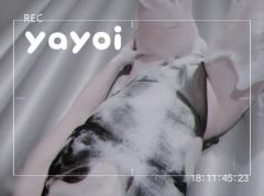 はろはろ！！