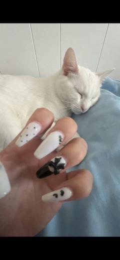 前回のネイル💅＆お昼寝中のにゃんこ💤