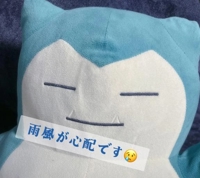 雨