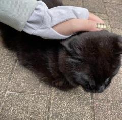 こんにちは