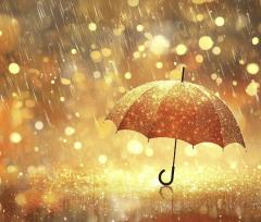 出勤してます☔️