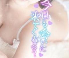  紫苑／しおん