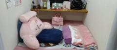 まよの巣??