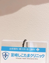 宮崎しこたまクリニック(宮崎市) いずみ