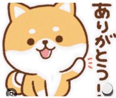 CLUB LUMINE　Haru / ハル