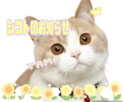 JaPON　珠紀ﾀﾏｷ