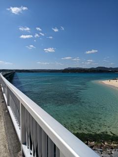 今週は