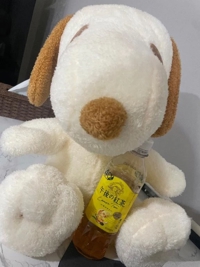 フェアリー【鹿児島店】　のん【業初癒し系Fカップ】