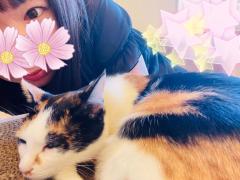 JaPON　真澄ﾏｽﾐ良い値コース！