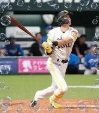 プロ野球、結果