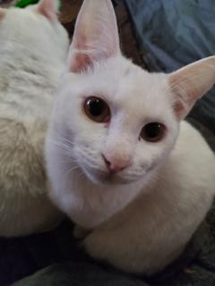保険屋のおばちゃん　まり