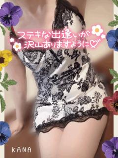 fraiche　カナ