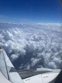 ありがとうございました🌺🌴