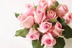 JaPON　新人！菜沙ﾅｽﾞﾅ